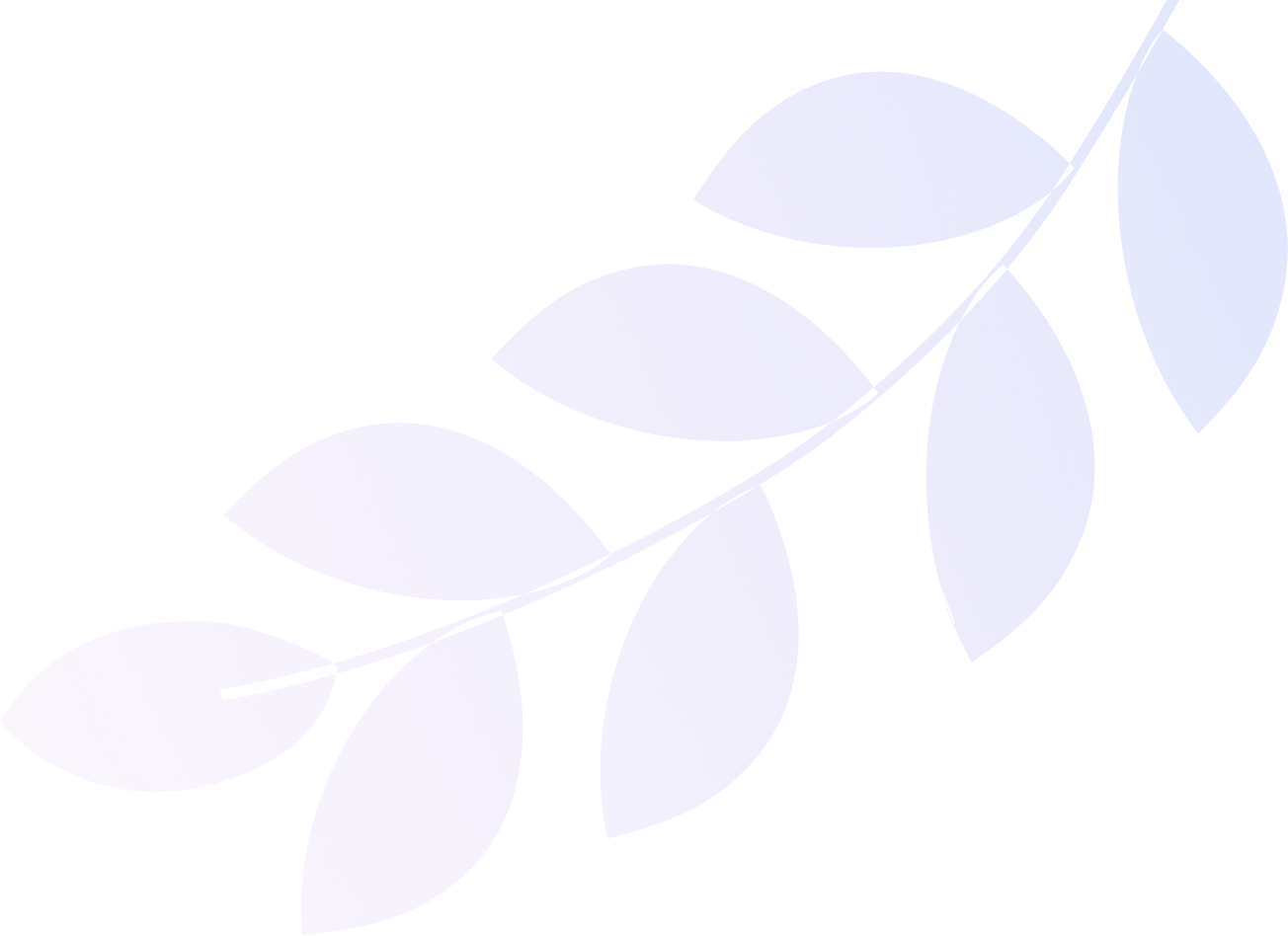 Shape Images